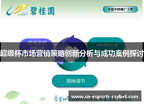 超级杯市场营销策略创新分析与成功案例探讨