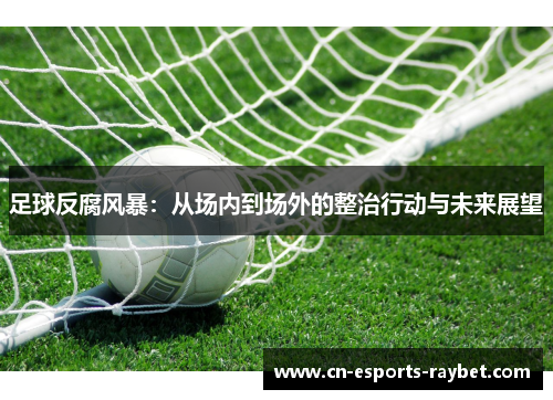 足球反腐风暴：从场内到场外的整治行动与未来展望