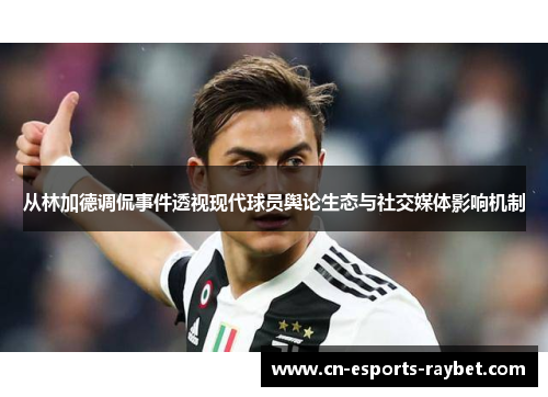 从林加德调侃事件透视现代球员舆论生态与社交媒体影响机制